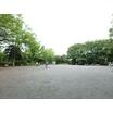 公園