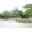 公園