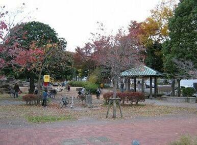 奈良３丁目市ノ久保公園