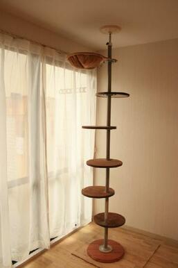 キャットタワーが備え付けられてます