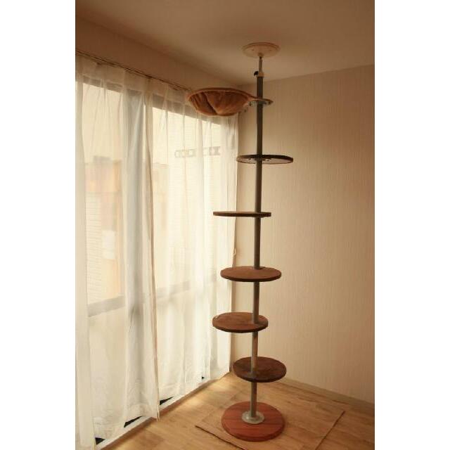 キャットタワーが備え付けられてます