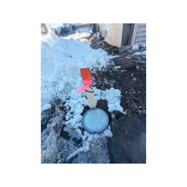 境界石　四点あり