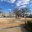 公園