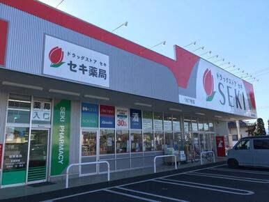 ドラッグストアセキ