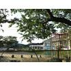 幼稚園、保育園