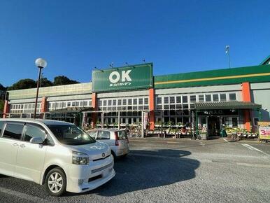 OKホーム＆ガーデン多良見店