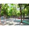 公園