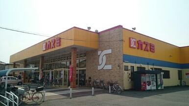 カスミ鷲宮店