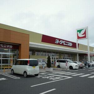 ヨークベニマル御幸ヶ原店