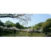 公園