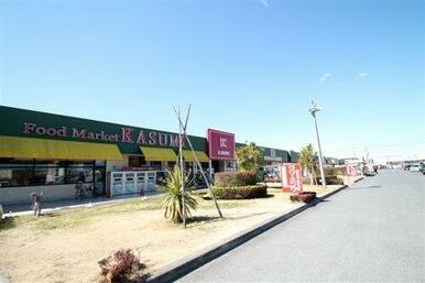 レプサモールつくば