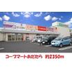 販売店
