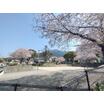 公園