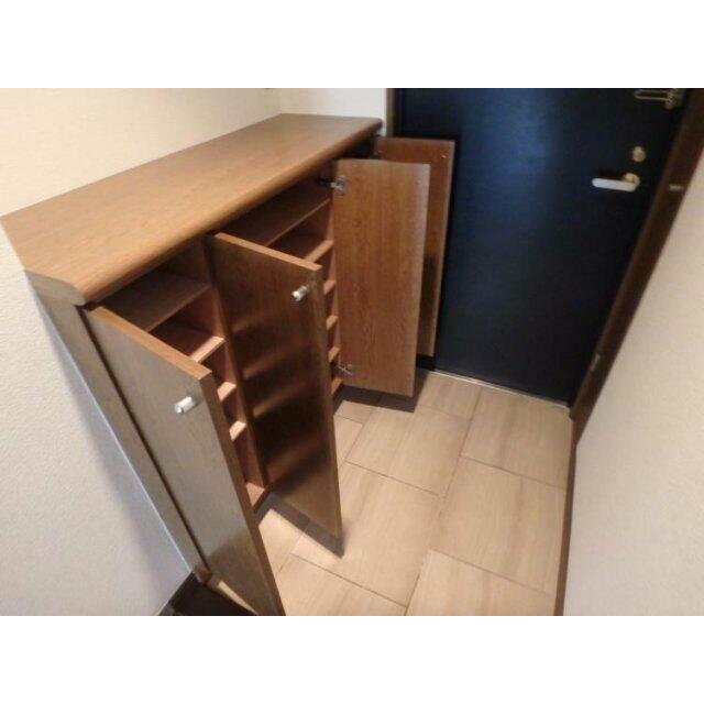 靴入