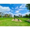 公園