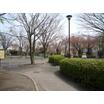 公園