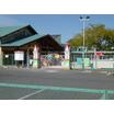 幼稚園、保育園