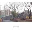 大学