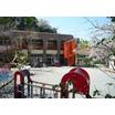 幼稚園、保育園