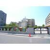 幼稚園、保育園