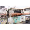 幼稚園、保育園