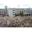 高校