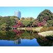 公園