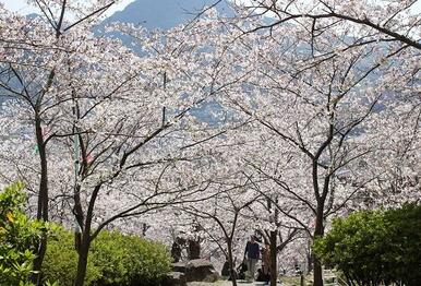 立山公園