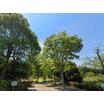 公園