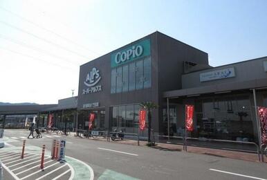 コピオ相模原インター