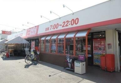 ザ・ビッグ相模原二本松店