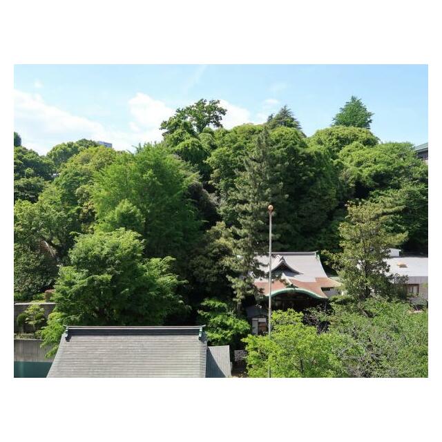 御田八幡神社側の豊かな自然が楽しめます
