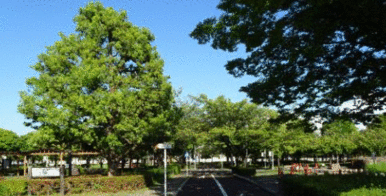 荒川公園