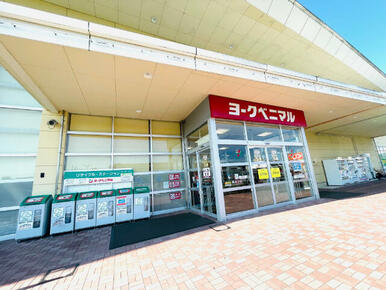 ヨークベニマル新田東店