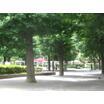 公園