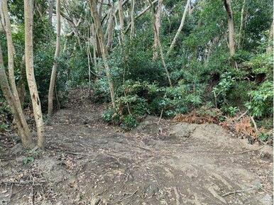 ■大人気の館山です