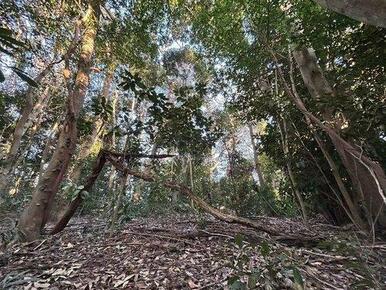 ■緑豊かな住環境です