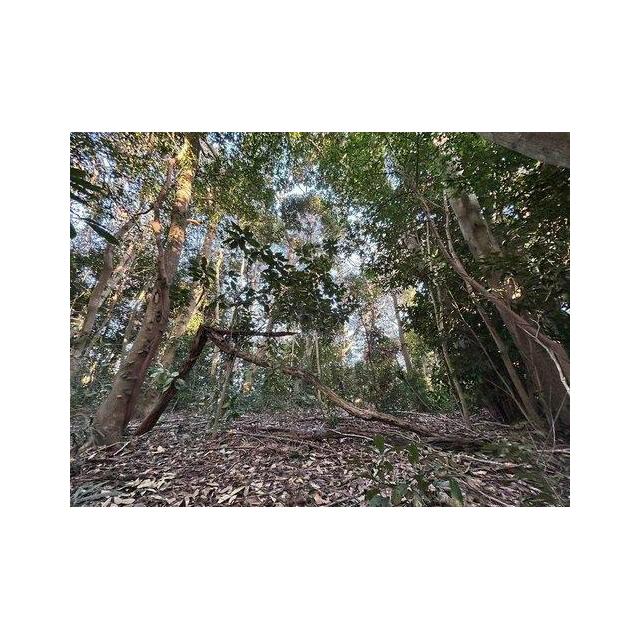 ■緑豊かな住環境です