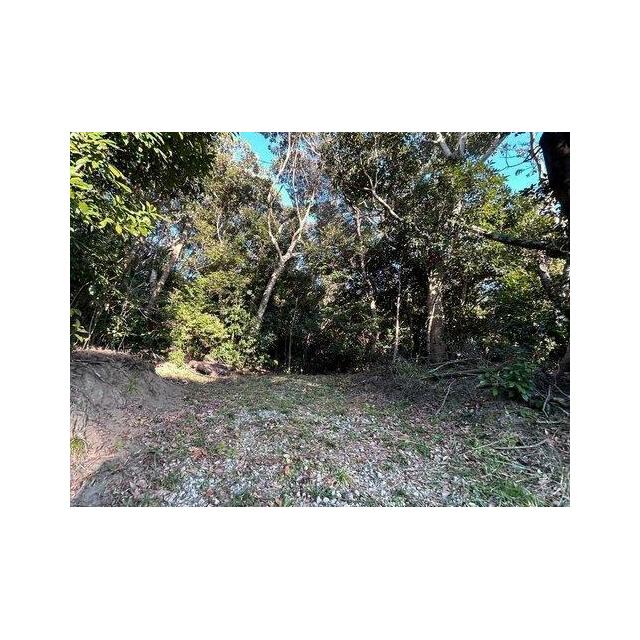 ■菜園用地としてもおすすめです