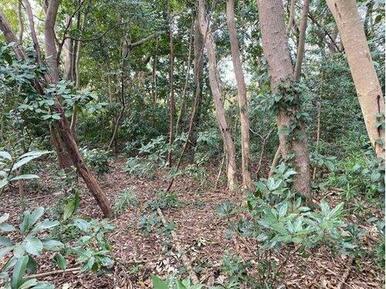 ■自然たっぷりなのでキャンプ用地としても！