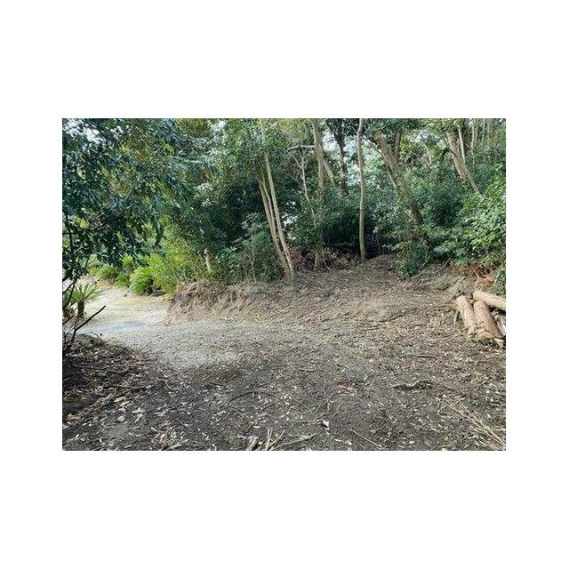 ■大人気の館山です