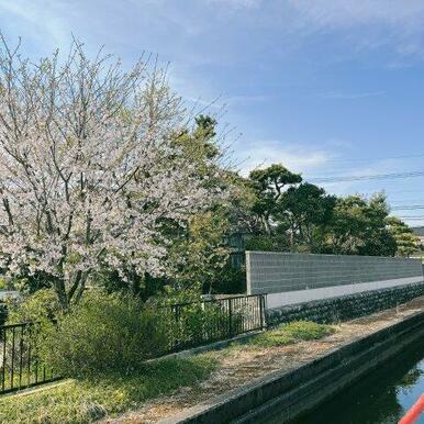 敷地内に桜の木があり春が楽しみになります♪