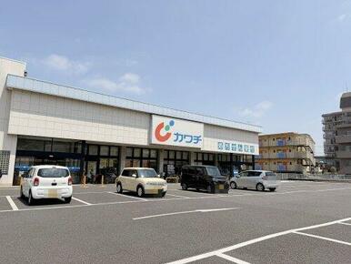 カワチ薬品久喜店
