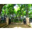 公園