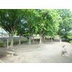 公園