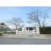 幼稚園、保育園