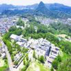 大学