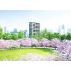 公園
