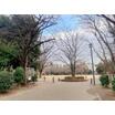 公園