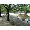 公園